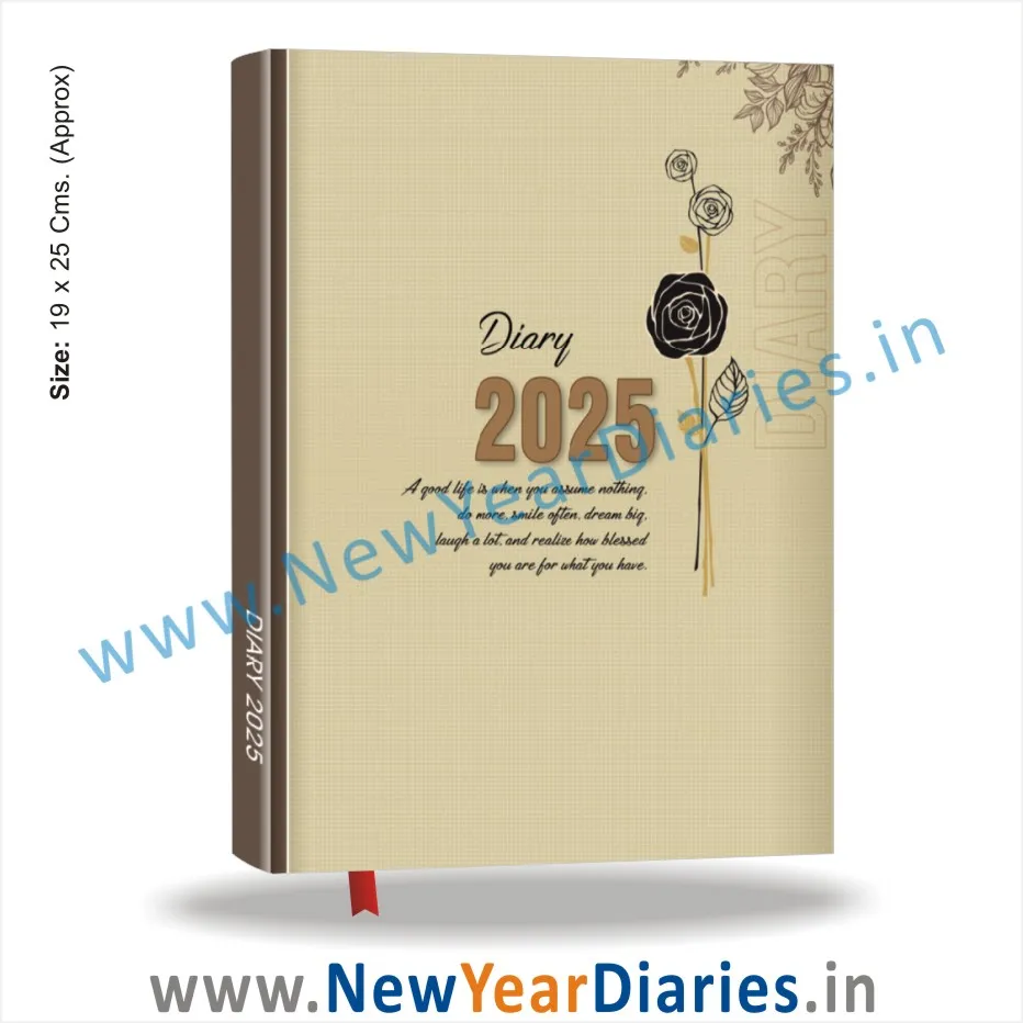 46 diary 2025 best gifts